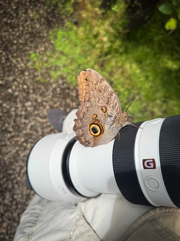 Lens with Rider