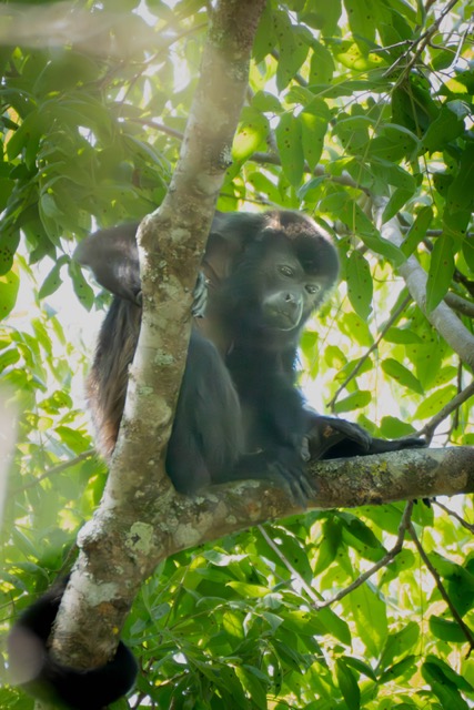 Congo